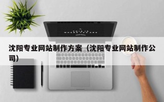 高密沈阳专业网站制作方案（沈阳专业网站制作公司）